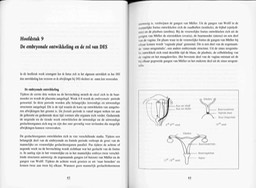 hetdeshormoonpg021